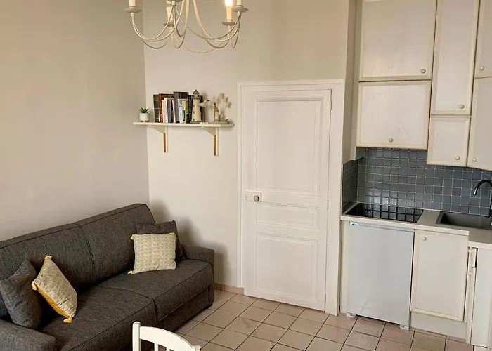 公寓 Bel Appartement, 20m De La - Cour Privee 莱萨布勒-多洛讷